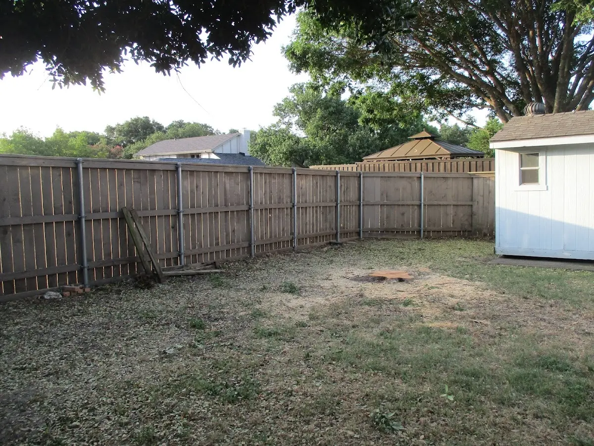 Cleared yard after professional tree removal in Zenda